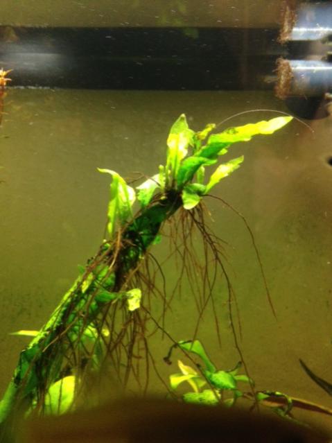 foto 1 (2)