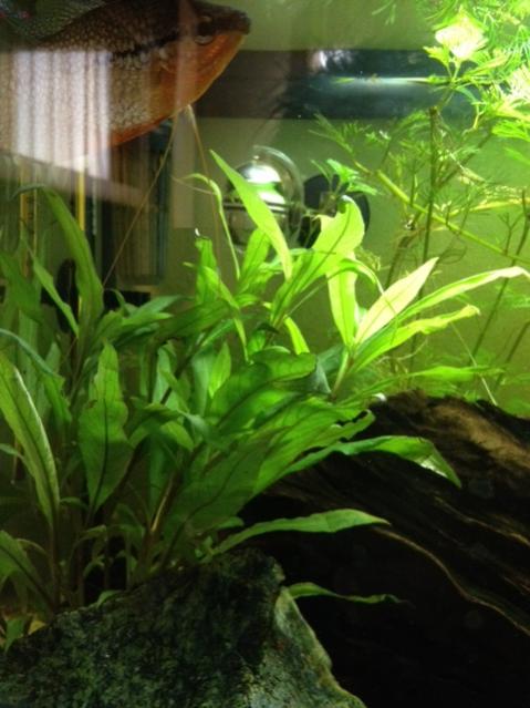 foto 1 (3)