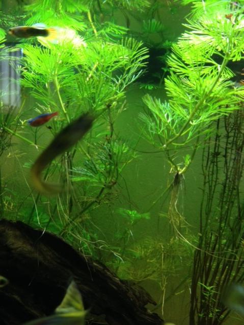 foto 2 (3)