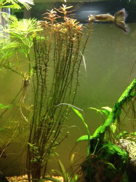 foto 3 (2)