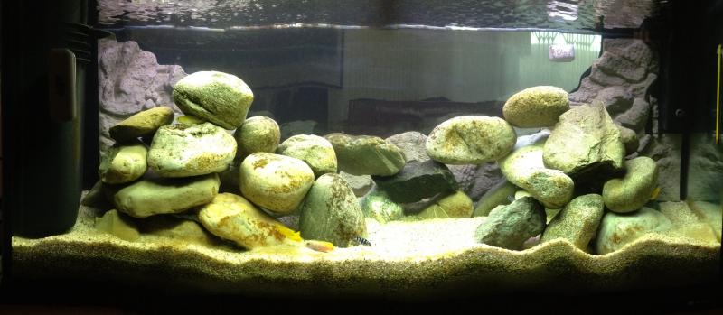 Acquario
