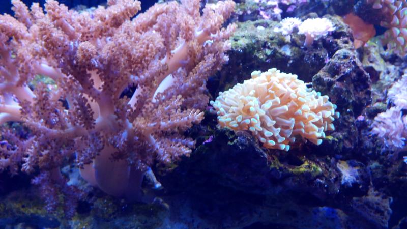 IMG 20131218 171513