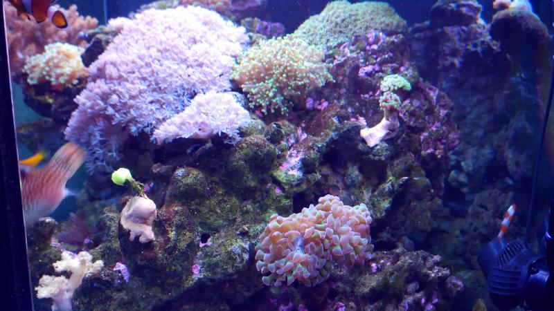 IMG 20131218 171532
