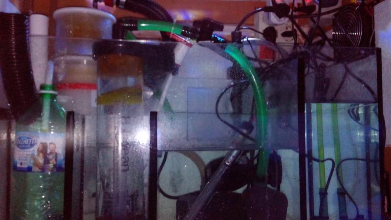 IMG 20131218 171549
