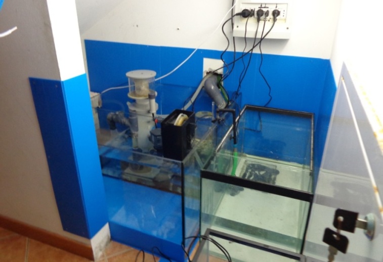 Sump 3 0