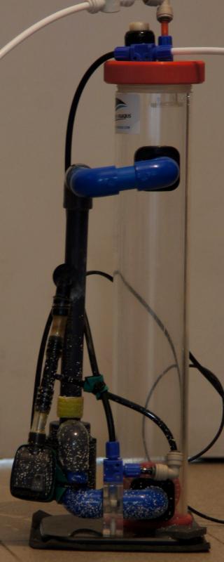 DSC08389