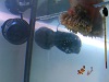 DSCN0405