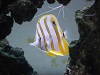 DSCN0408
