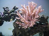 DSCN0409