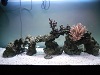 DSCN0411