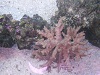 DSCN0414