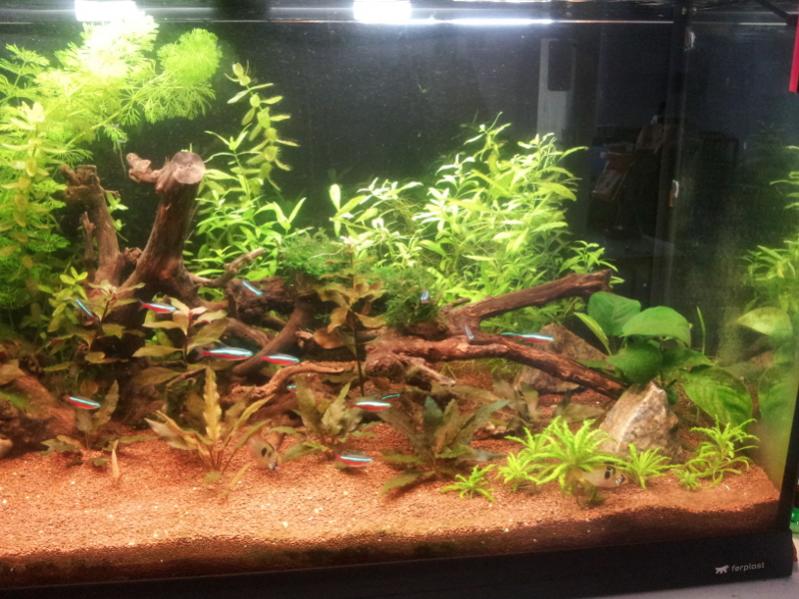 Acquario3