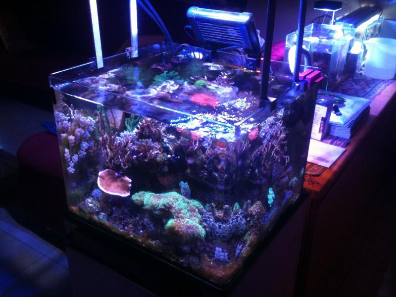 60l