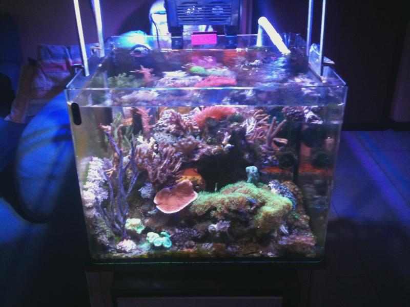 60l
