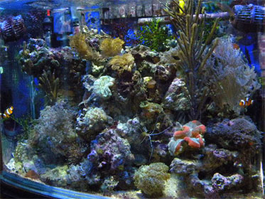 panoramica1