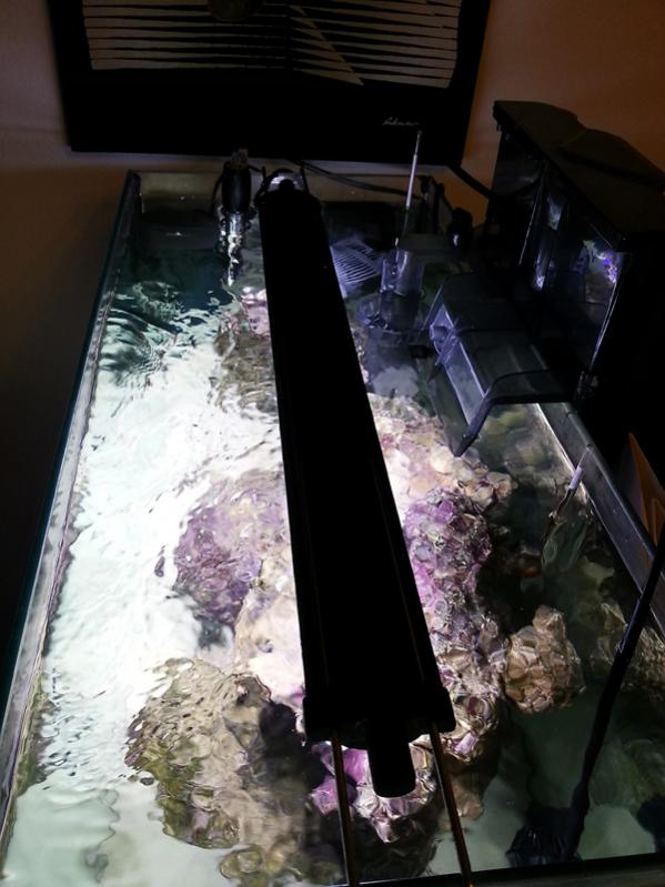 movimento dell'acqua