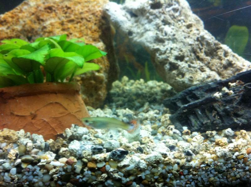 photo1(1)
