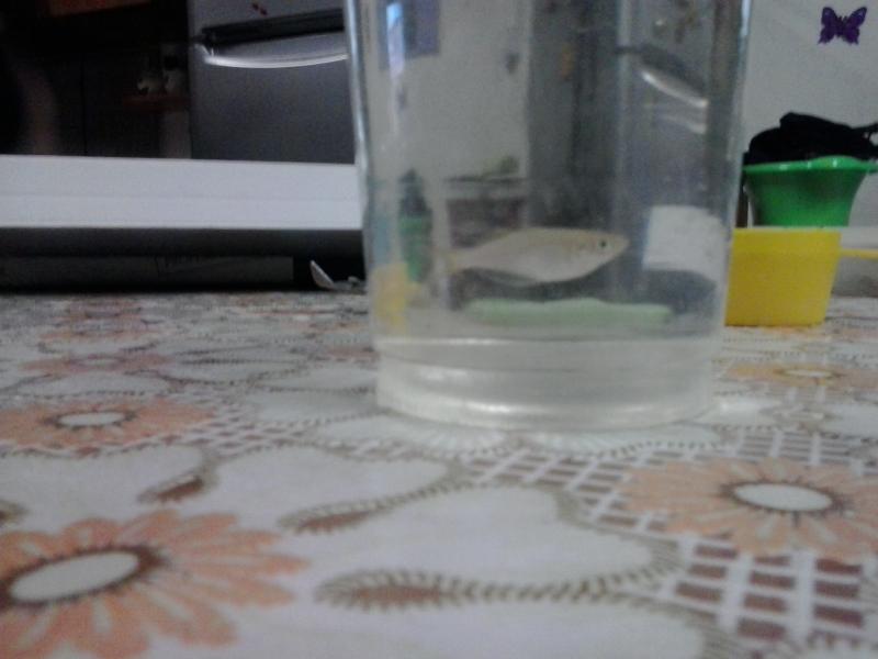 2014 08 04 20.23.13
