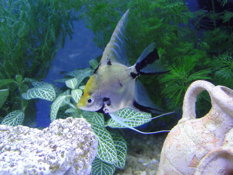 DSC00601