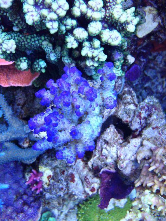 IMG 20140201 WA0021
