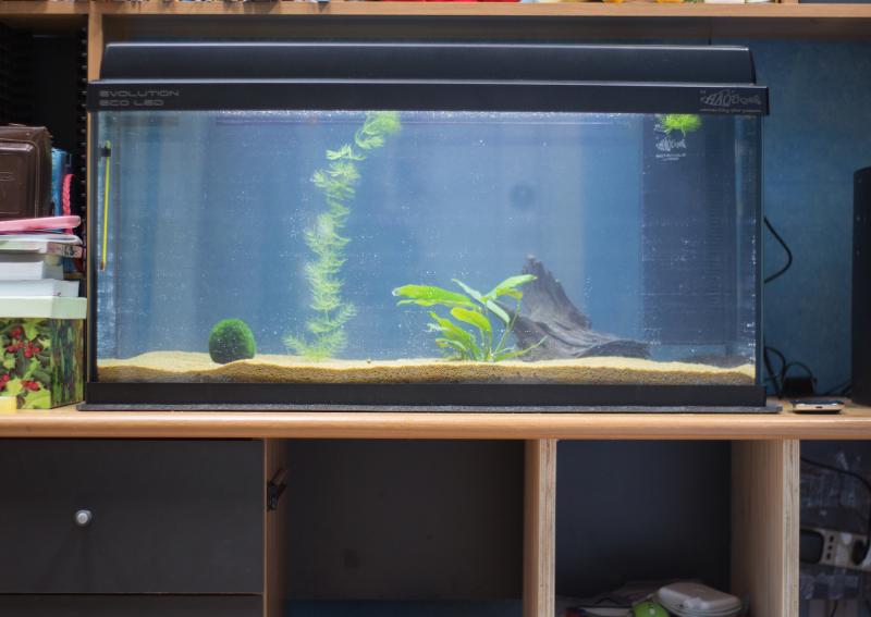 Acquario Haquoss evoluthion eco led 88litri