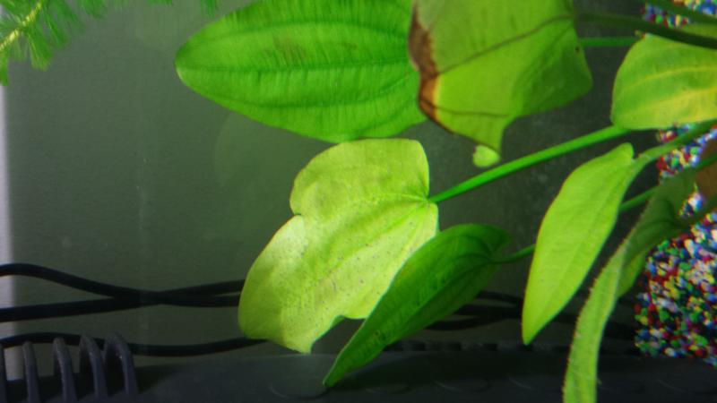 20150324 185223