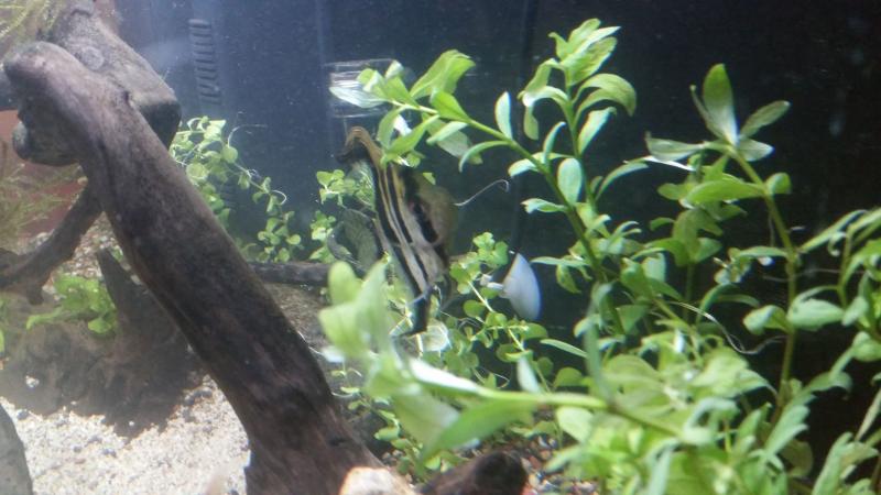 foto 0013