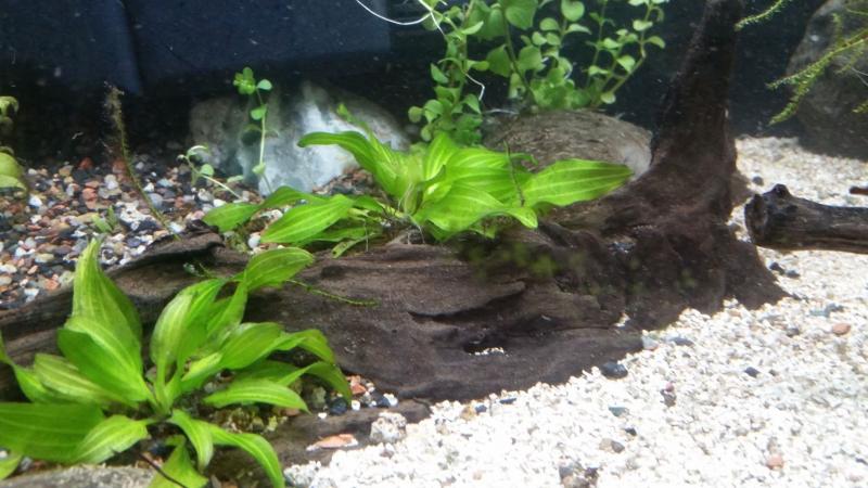 foto 0028