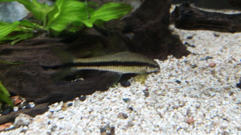 foto 0033