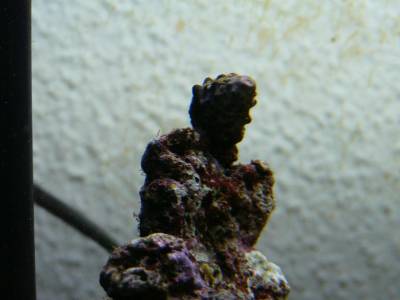 P1030684