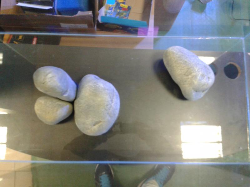 dispozsizione rocce