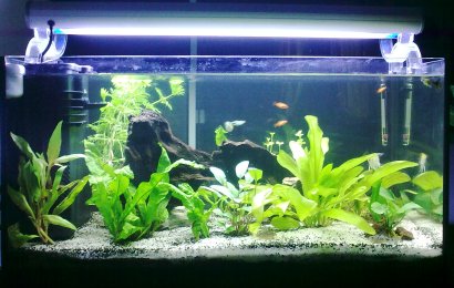 Vista con plafoniera 2x24 t5