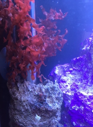 13 07 15 01