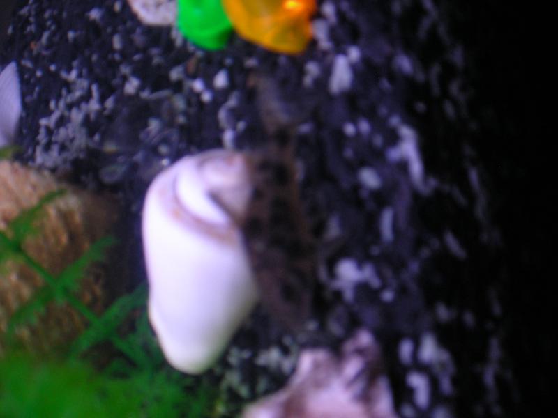 DSCN3025