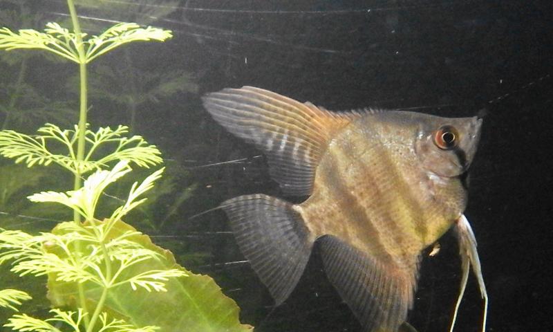 20160305 213417