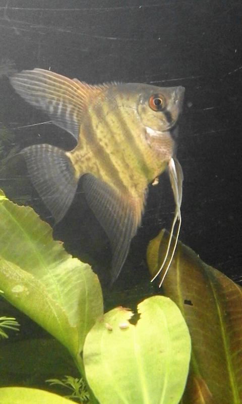 20160305 213442