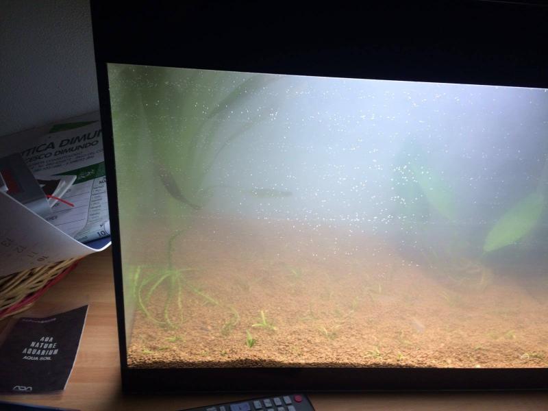 Avvio acquario: mercoled 23 marzo 2016