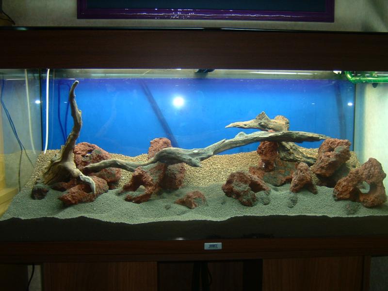 Allestimento Marzo 2010