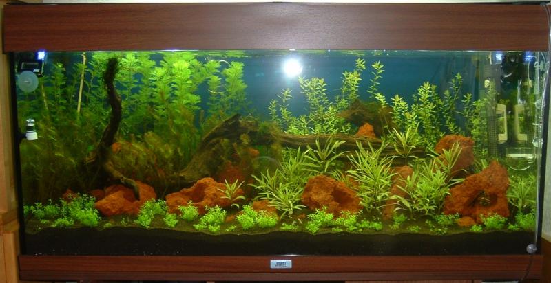 Allestimento Aprile 2010