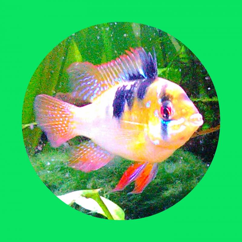 IMG 20160331 101111