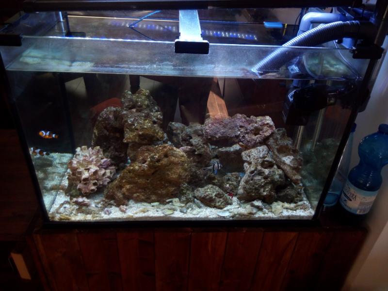 Altro lato acquario