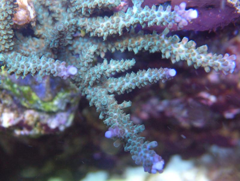 DSCF0669