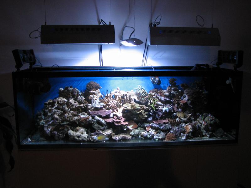 IMG 0003