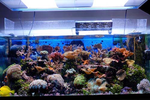 FOTO7