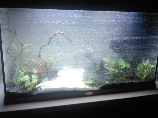 Foto0021