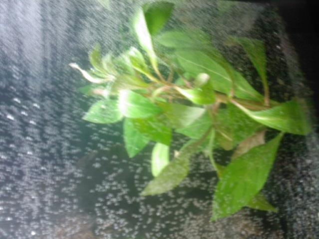 Foto0023 (2)