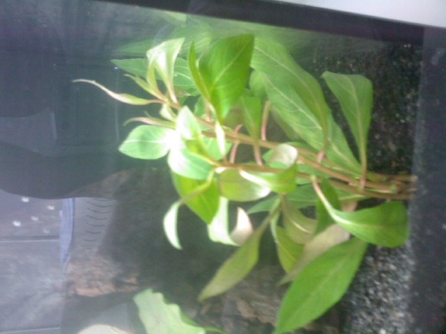 Foto0029