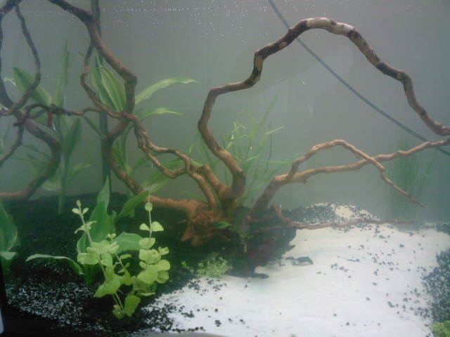 Foto0033