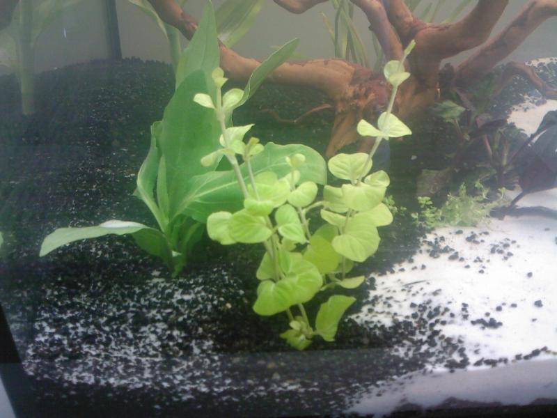 Foto0034