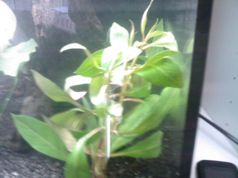 Foto0039